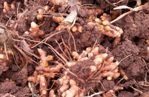 ����-��ͼ��