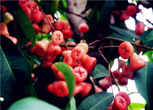 ����-��ͼ��