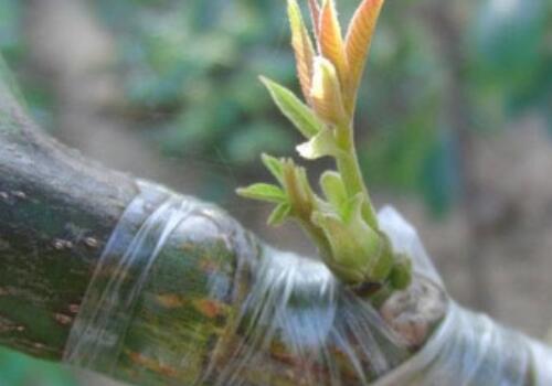 ����-����