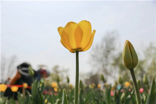 ����-��ͼ��