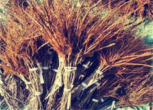 �ƹ�����-����