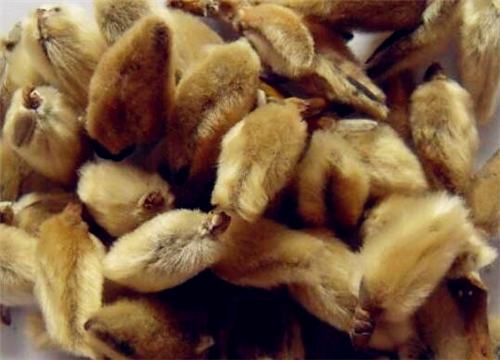 ����-����