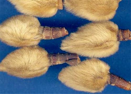 ����-����