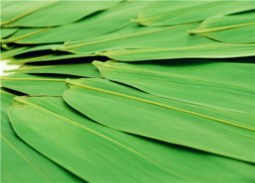 ��Ҷ-��ͼ��