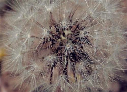 �ѹ�Ӣ����-����