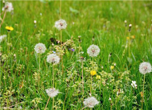 �ѹ�Ӣ-��ͼ��