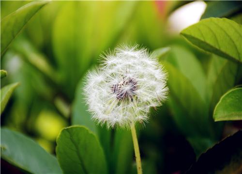 �ѹ�Ӣ-��ͼ��