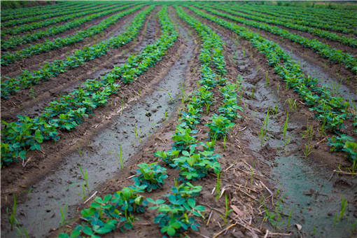 ũ����-��ͼ��