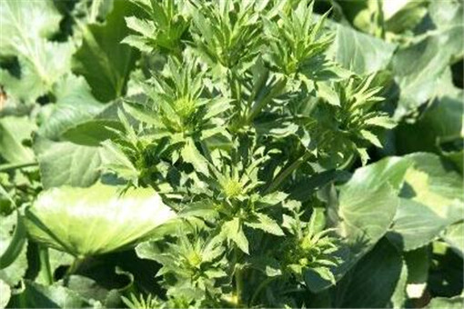 ����-����