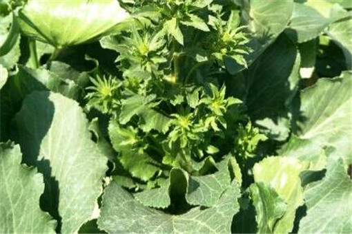 ����-����