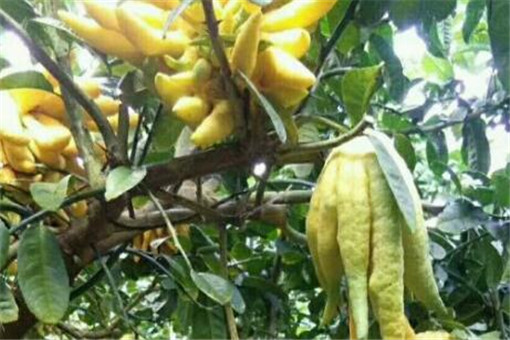 ����-����