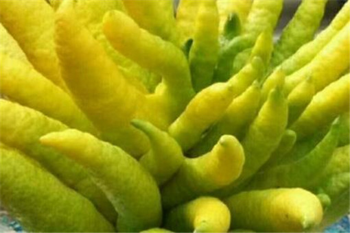 ����-����