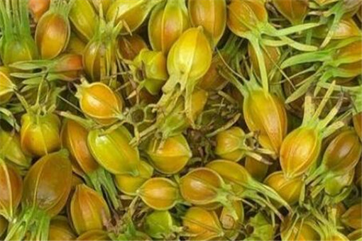 ��Φ��-����