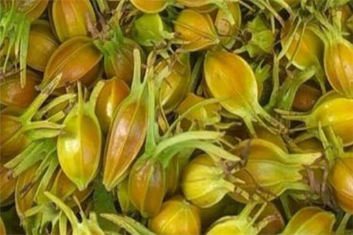 ��Φ��-����