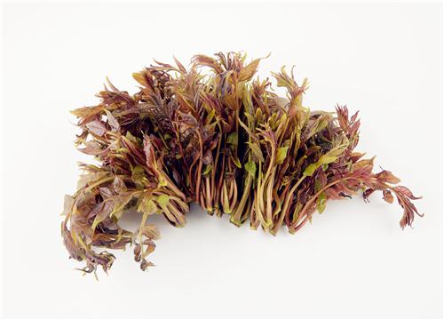 �㴻-��ͼ��