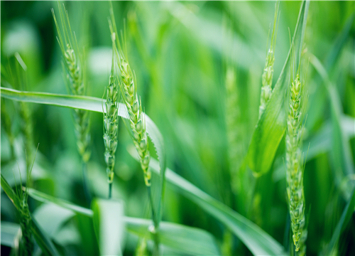 С��-��ͼ��