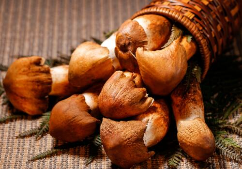 ʳ�þ�-��ͼ��