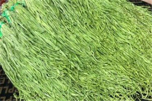 ����-����