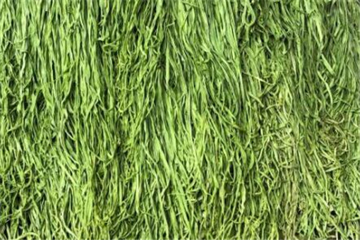 ����-����