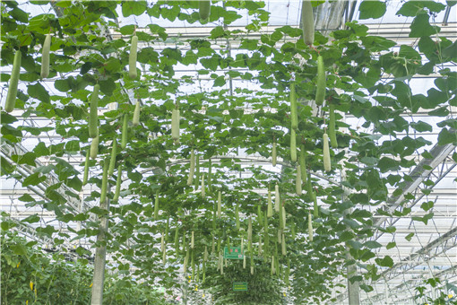 �߹�-��ͼ��