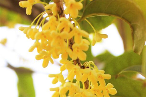 ��-��ͼ��