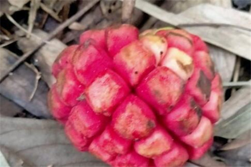 ���ϻ�-����