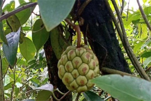 ���ϻ�-����