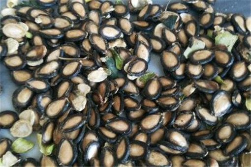 �����-����