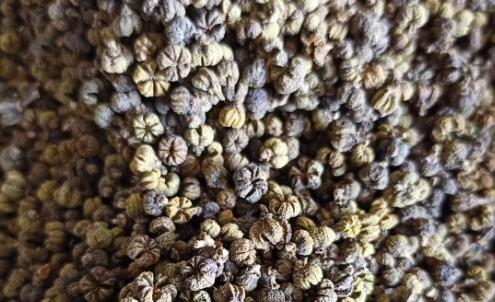 ������-����