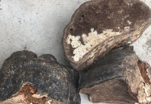 ������-����