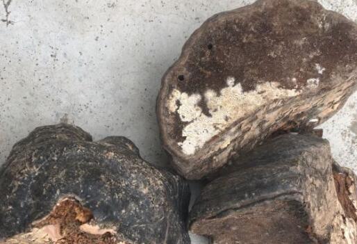 ������-����