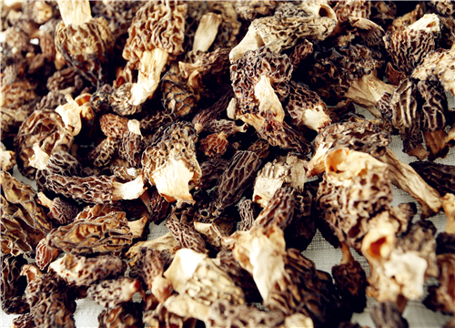 ��Ǿ�-��ͼ��