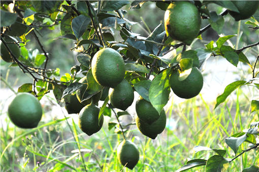 2019��������׬Ǯ��-��ͼ��