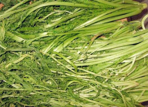 ѩ���-����