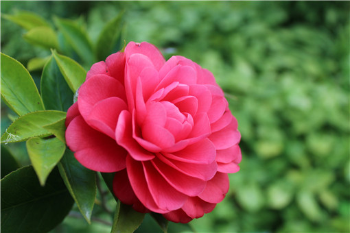 �軨-��ͼ��