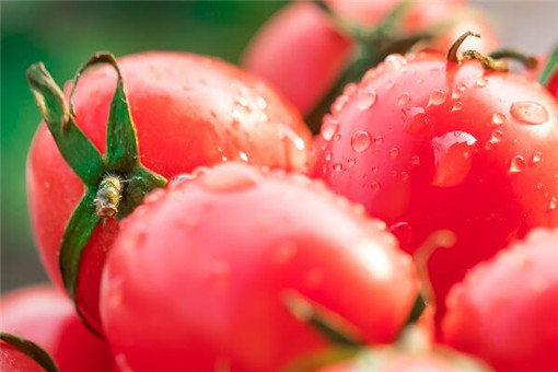 ʥŮ��-��ͼ��