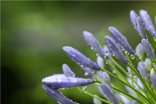 ����-��ͼ��