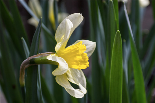 ����-��ͼ��