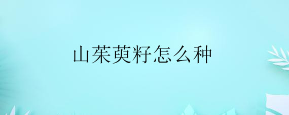 ɽô֡