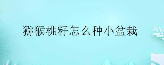 ⨺ôСԡ