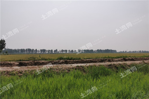 长岛农家乐哪家好