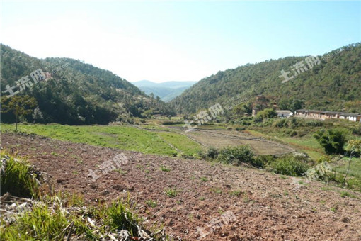 2016ũҵͶʴҵ9飬Ͷʻ򼴽Ͷũҵѣ