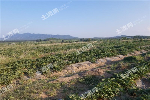 2016ų̃ЩЩũͶ̽᣿